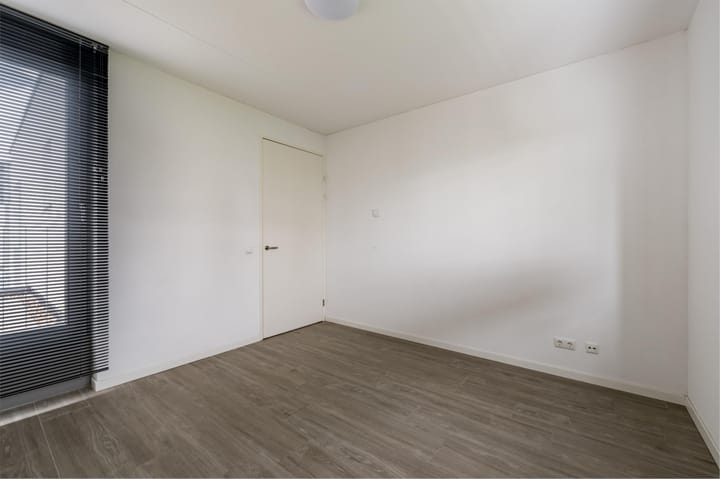 Photo 19 of Teunisbloem 29