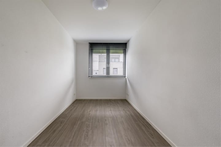 Photo 20 of Teunisbloem 29