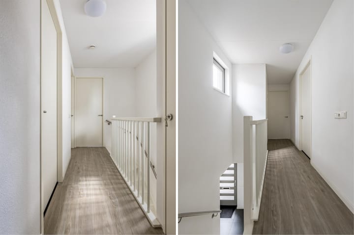 Photo 22 of Teunisbloem 29