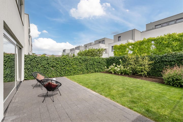 Photo 27 of Teunisbloem 29