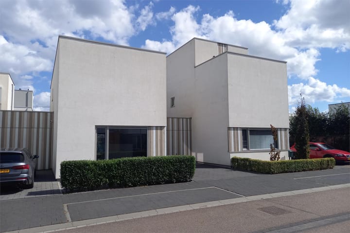 Photo 28 of Teunisbloem 29