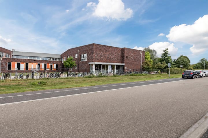 Photo 29 of Teunisbloem 29