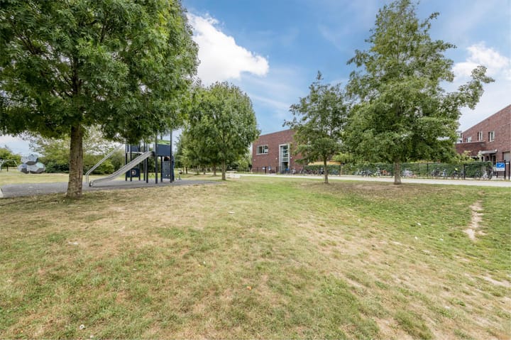 Photo 30 of Teunisbloem 29