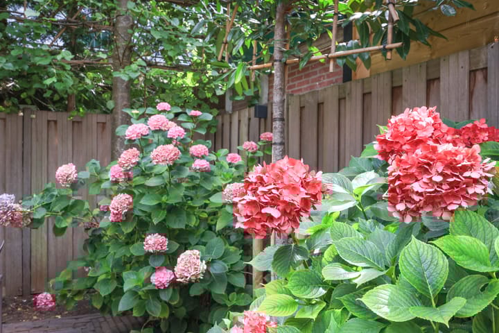 Foto 20 van Pellekaanstraat 40