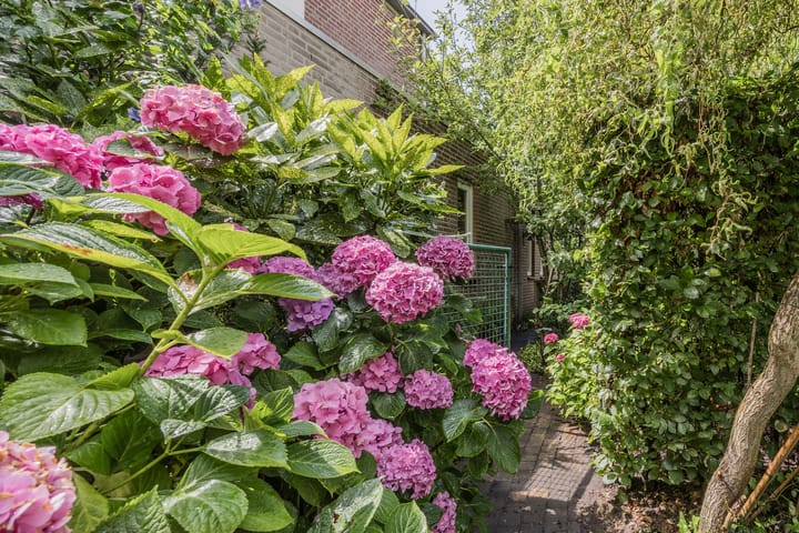 Foto 48 van Rietven 16