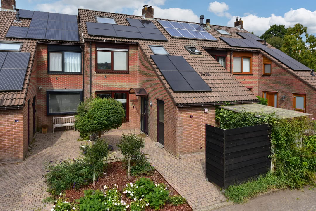 Foto 1 van Kwikstaart 17