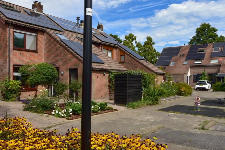 Foto 27 van Kwikstaart 17