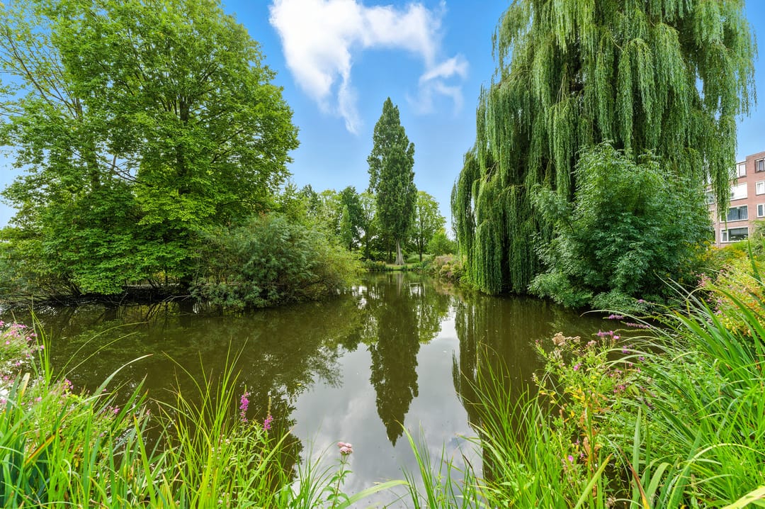 Photo 32 of van der Duyn van Maasdamlaan 128-A