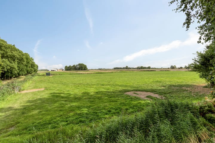 Foto 4 van It Roster 26