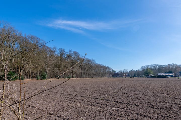 Foto 35 van Rozenlaan 6