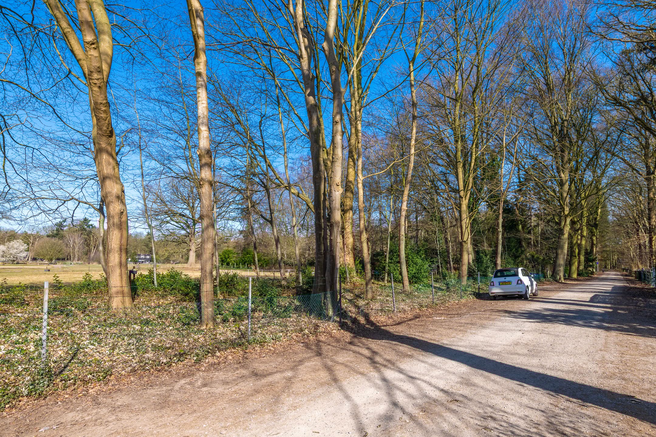 Foto 36 van Rozenlaan 6