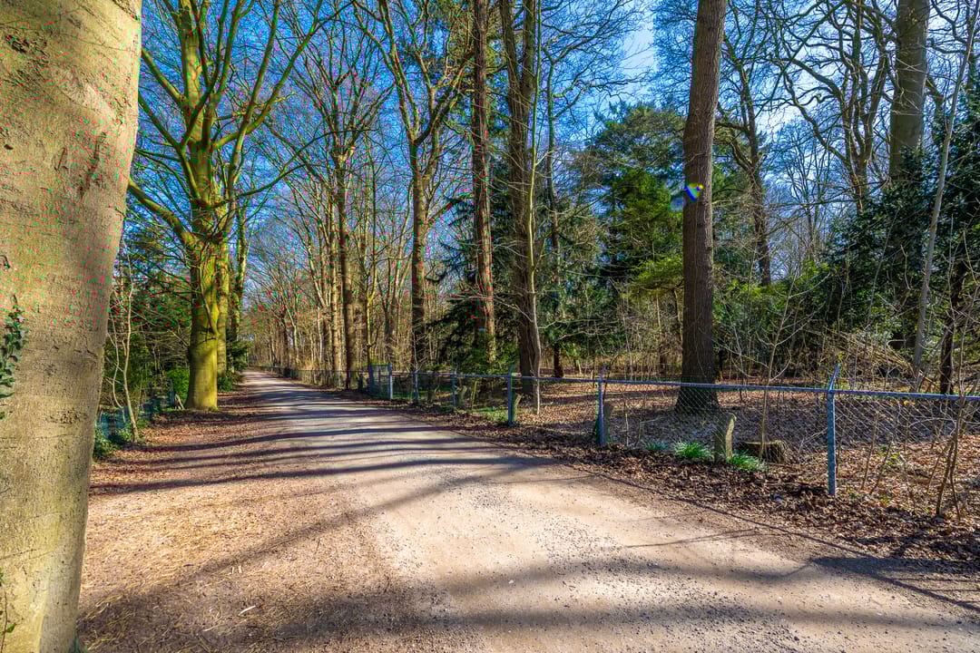 Foto 37 van Rozenlaan 6