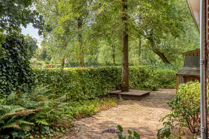 Foto 40 van Insingerstraat 19-D