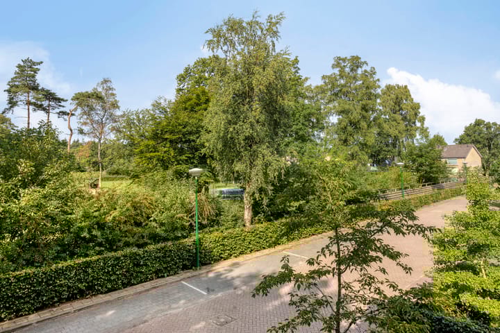 Foto 42 van Insingerstraat 19-D