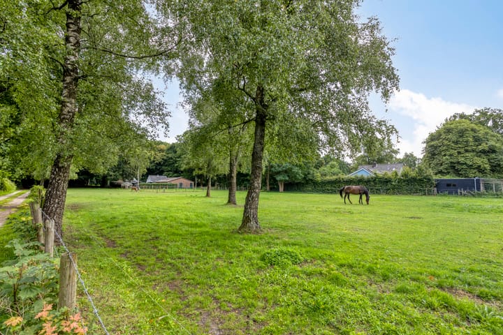 Foto 44 van Insingerstraat 19-D