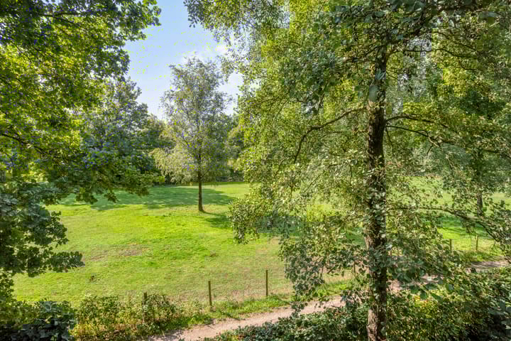 Foto 46 van Insingerstraat 19-D