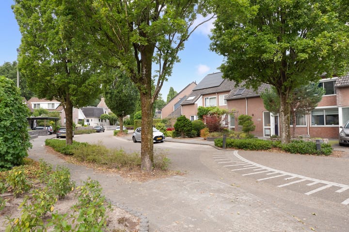 Foto 6 van Donauring 225