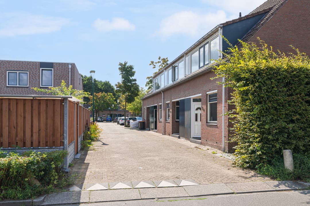 Foto 31 van Kamelenspoor 426