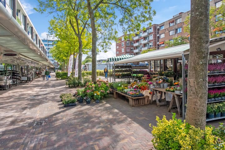 Foto 32 van Aaltje Noordewierstraat 25