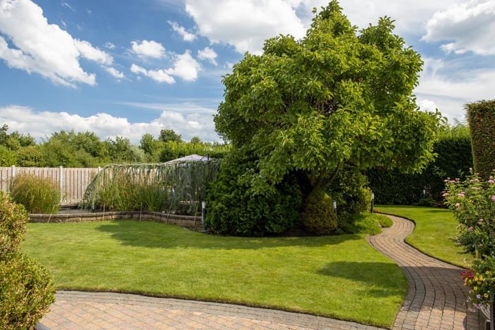 Photo 35 of Bosruiterweg 25-18