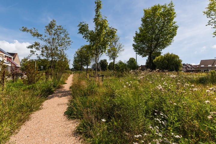 Foto 46 van Dalerveen 14