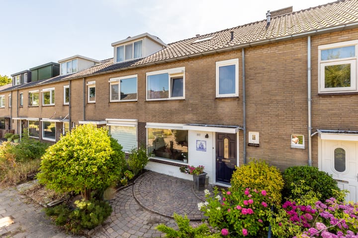 Foto 21 van Amestelle 337