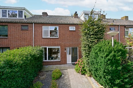 undefined main image