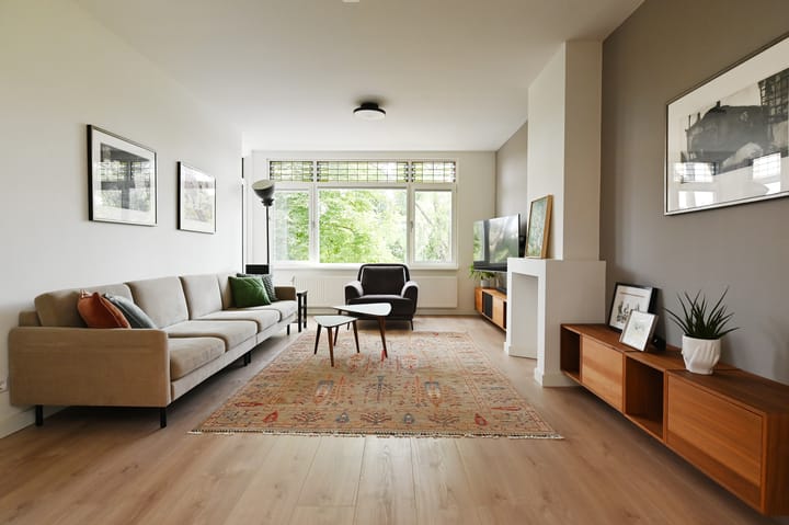 Foto 6 van Carel Reinierszkade 277