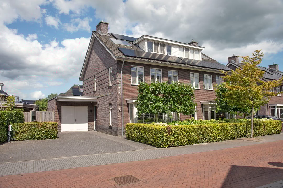 Foto 1 van Pinksterbloem 8