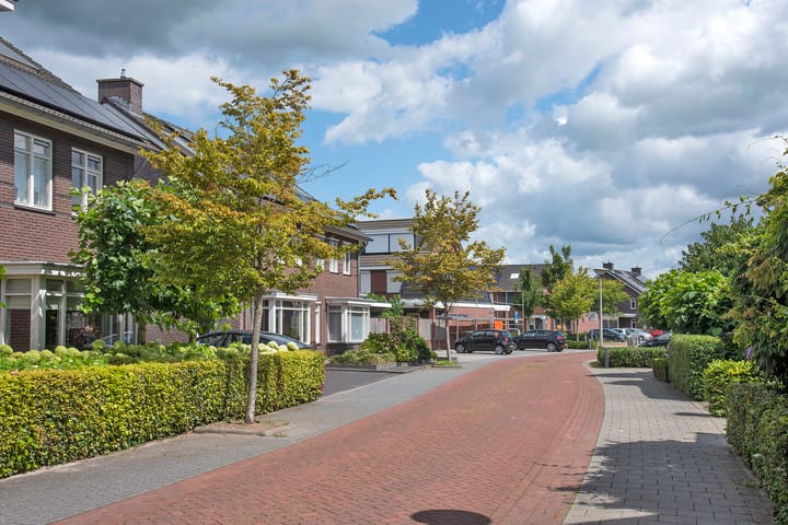 Photo 3 of Pinksterbloem 8