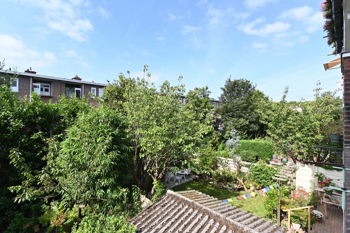 Foto 26 van Carel Reinierszkade 277