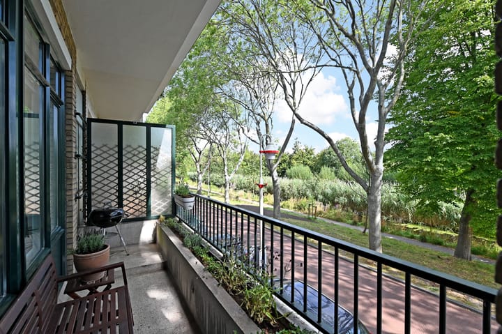 Foto 43 van Carel Reinierszkade 277