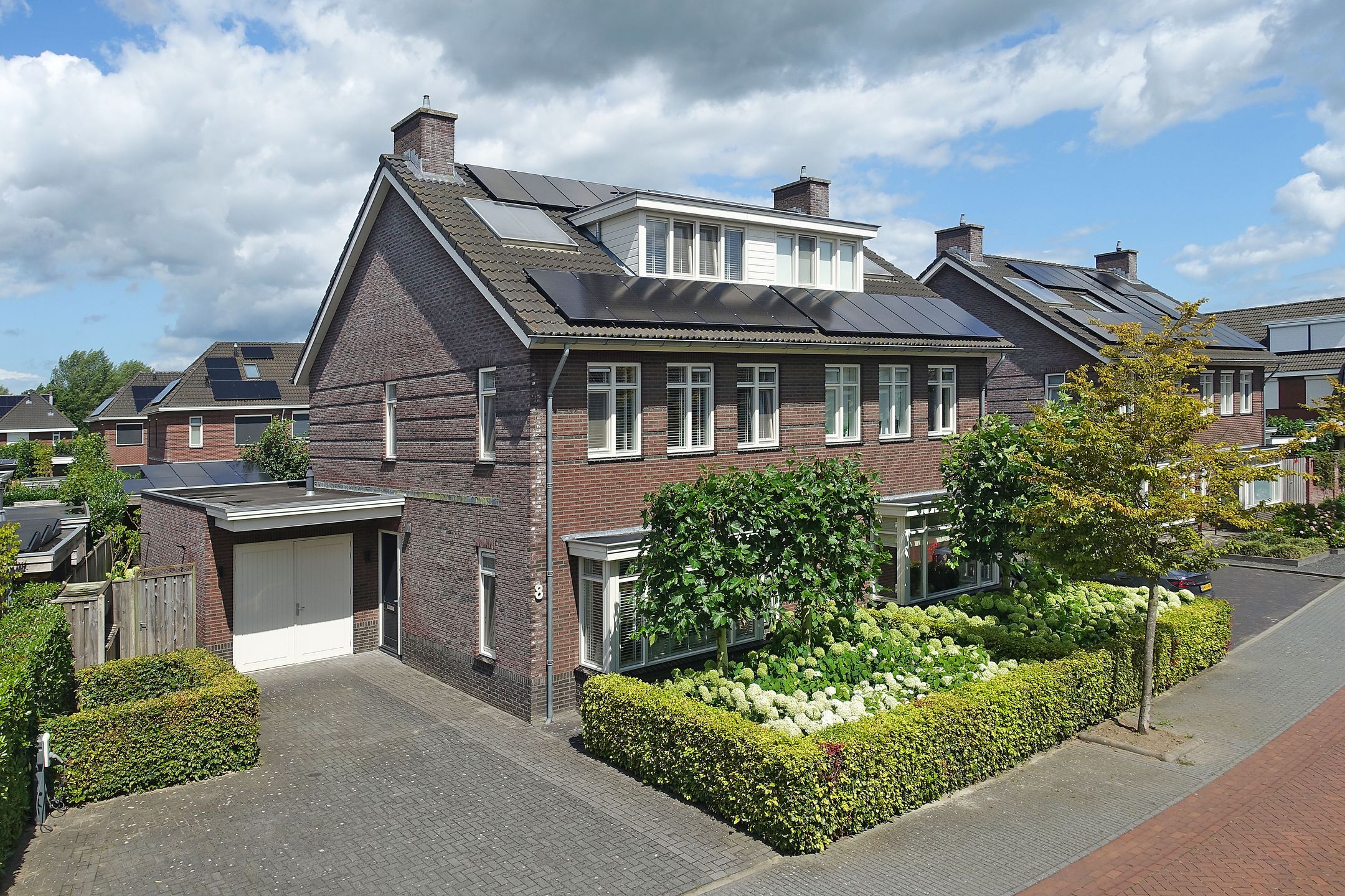 Foto 30 van Pinksterbloem 8