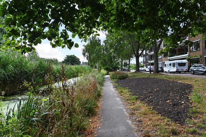 Foto 52 van Carel Reinierszkade 277