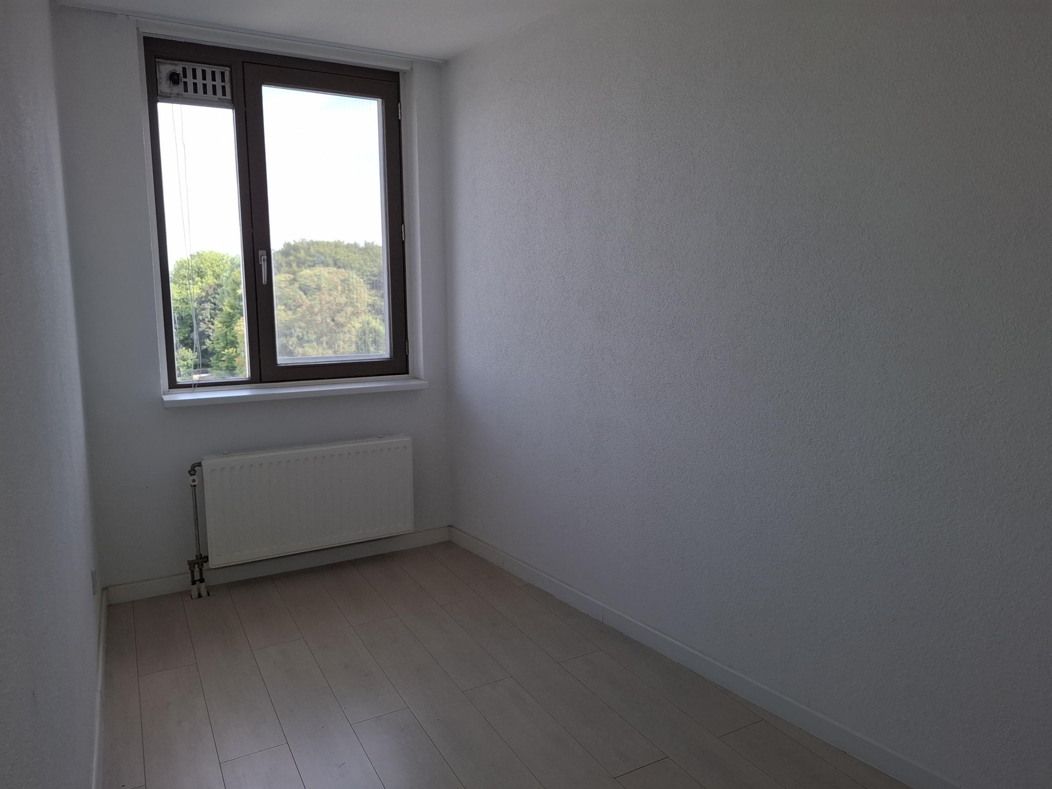 Photo 12 of Schonebergerweg 166