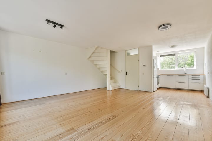 Foto 4 van Galjoen 4