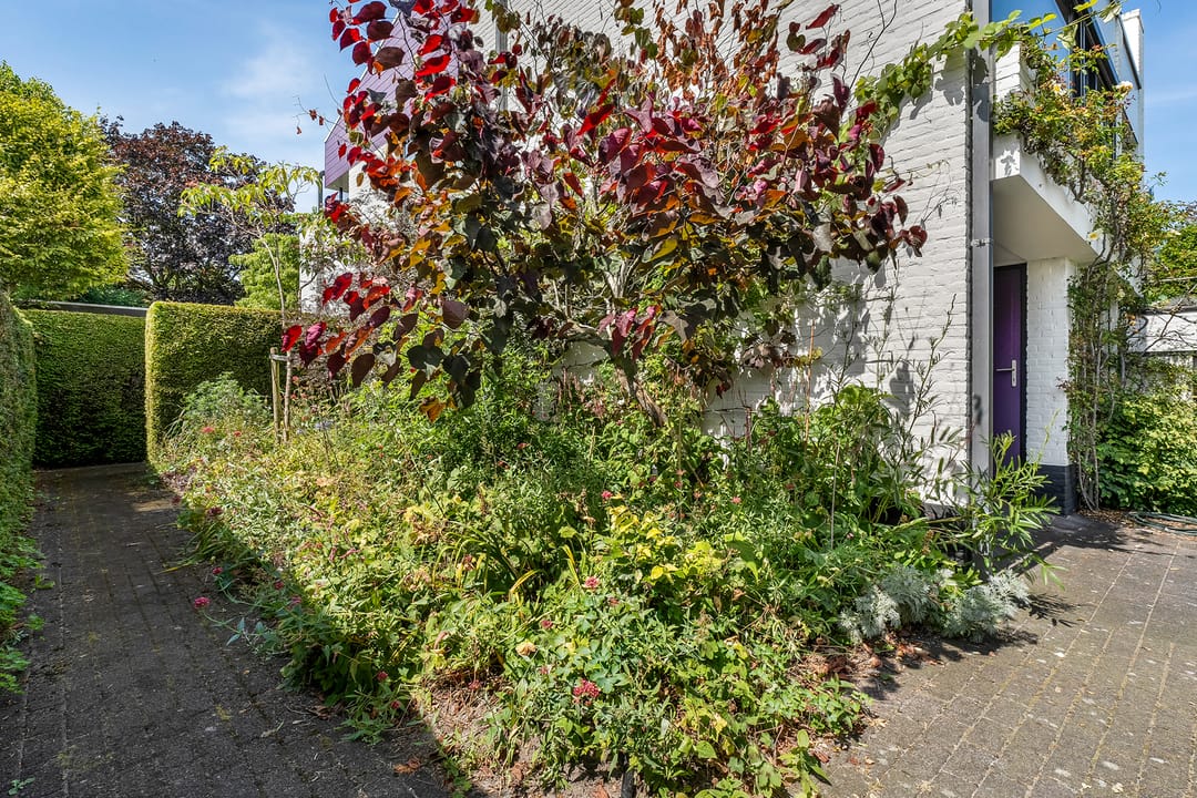 Foto 46 van Beukenweg 8