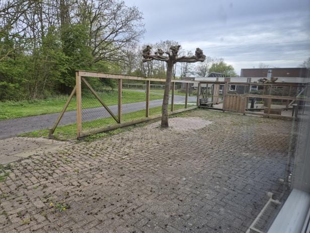View photo 5 of Perenhout 27