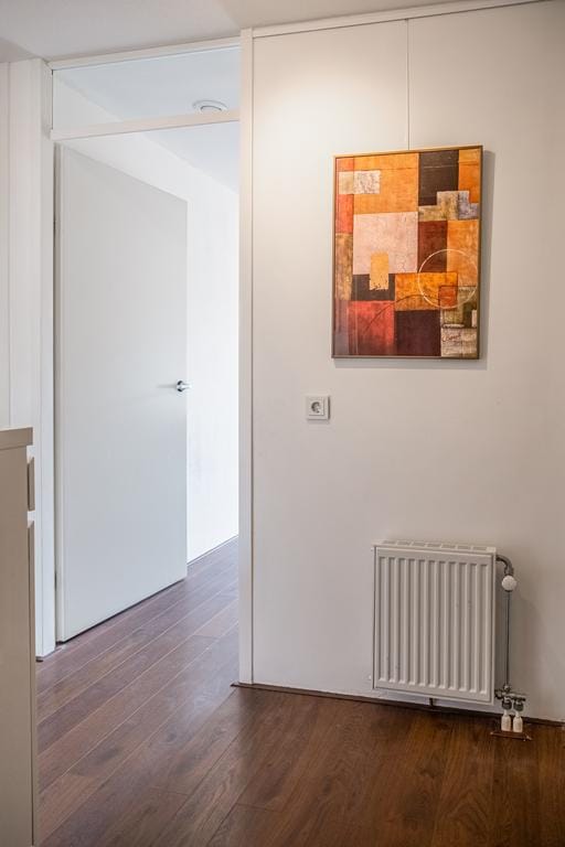 Photo 18 of Ruyschstraat 87-P