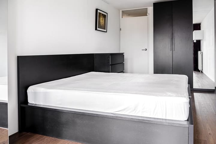 Photo 12 of Ruyschstraat 87-P