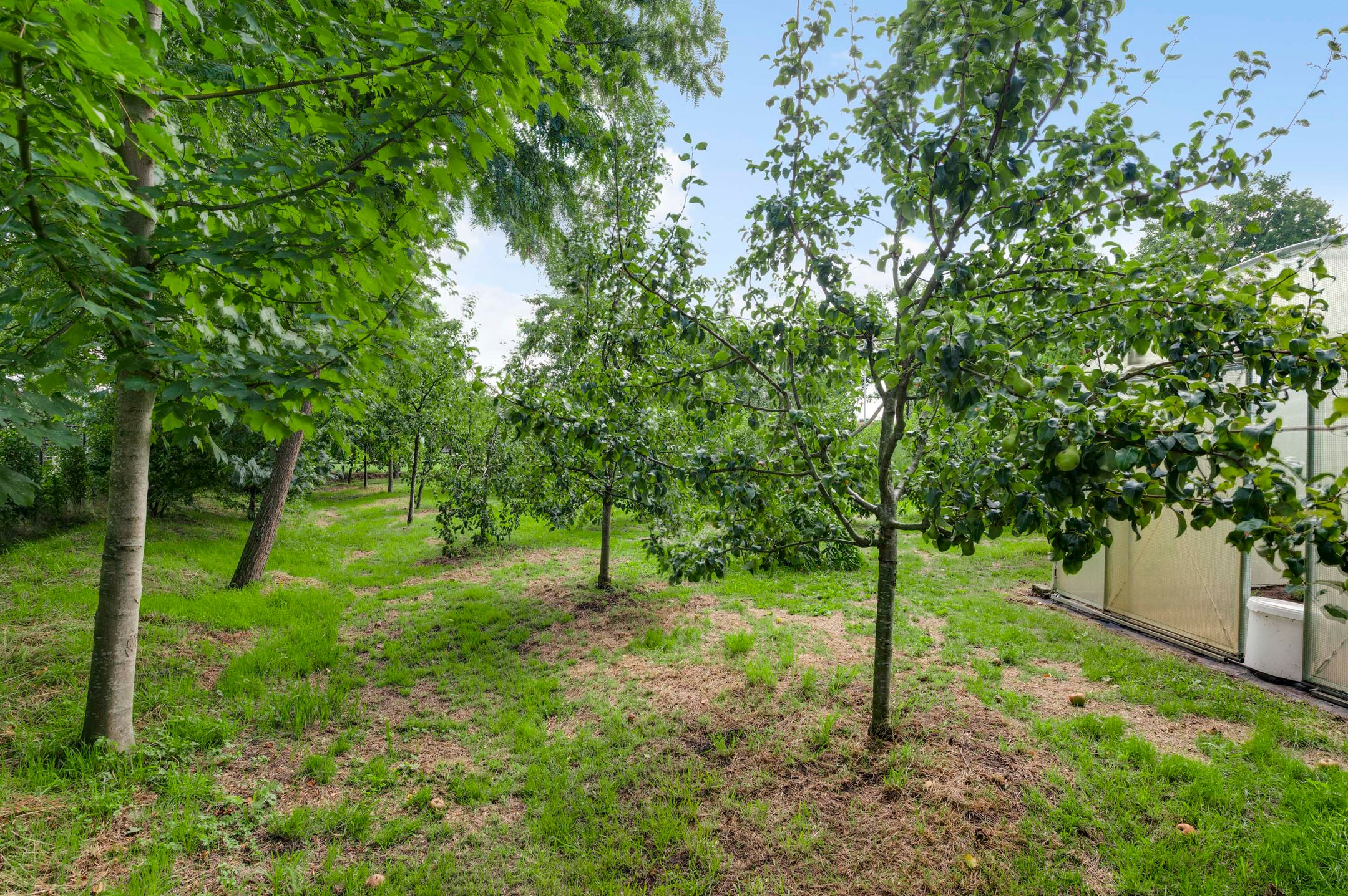 Photo 42 of Baldessenweg 3