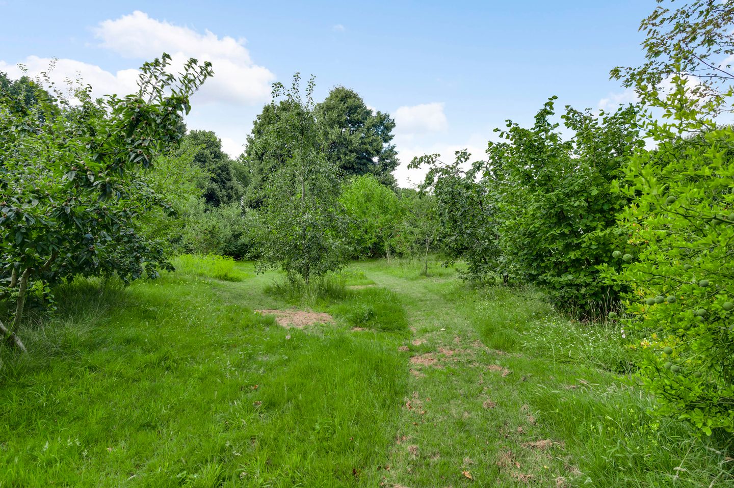 Photo 49 of Baldessenweg 3