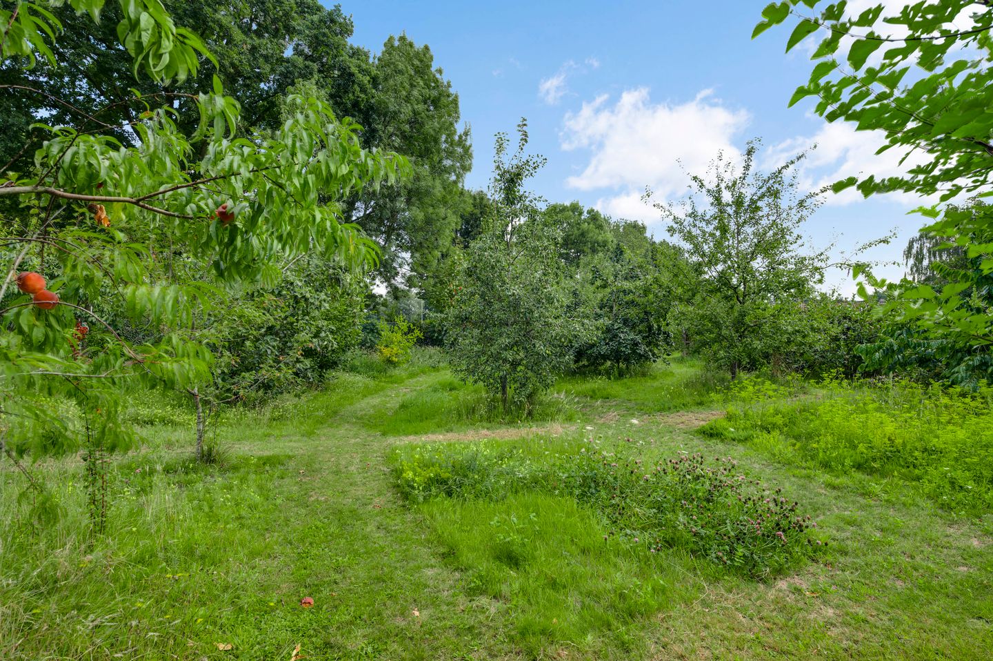 Photo 50 of Baldessenweg 3