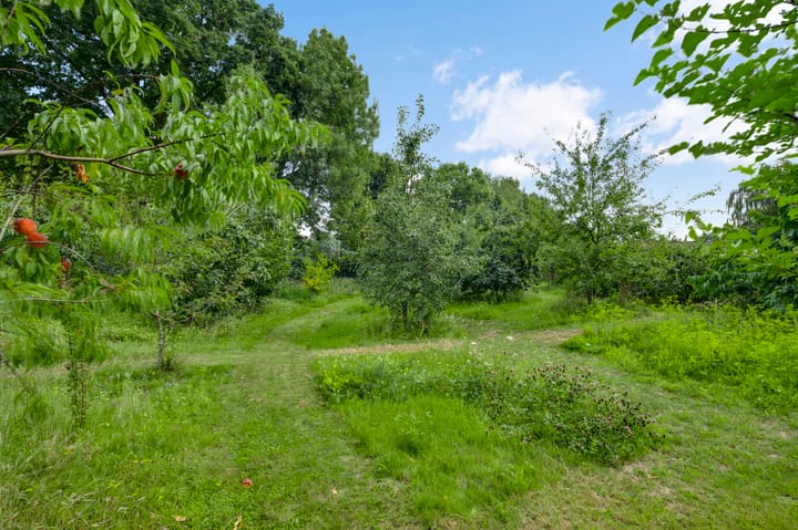 Foto 50 van Baldessenweg 3