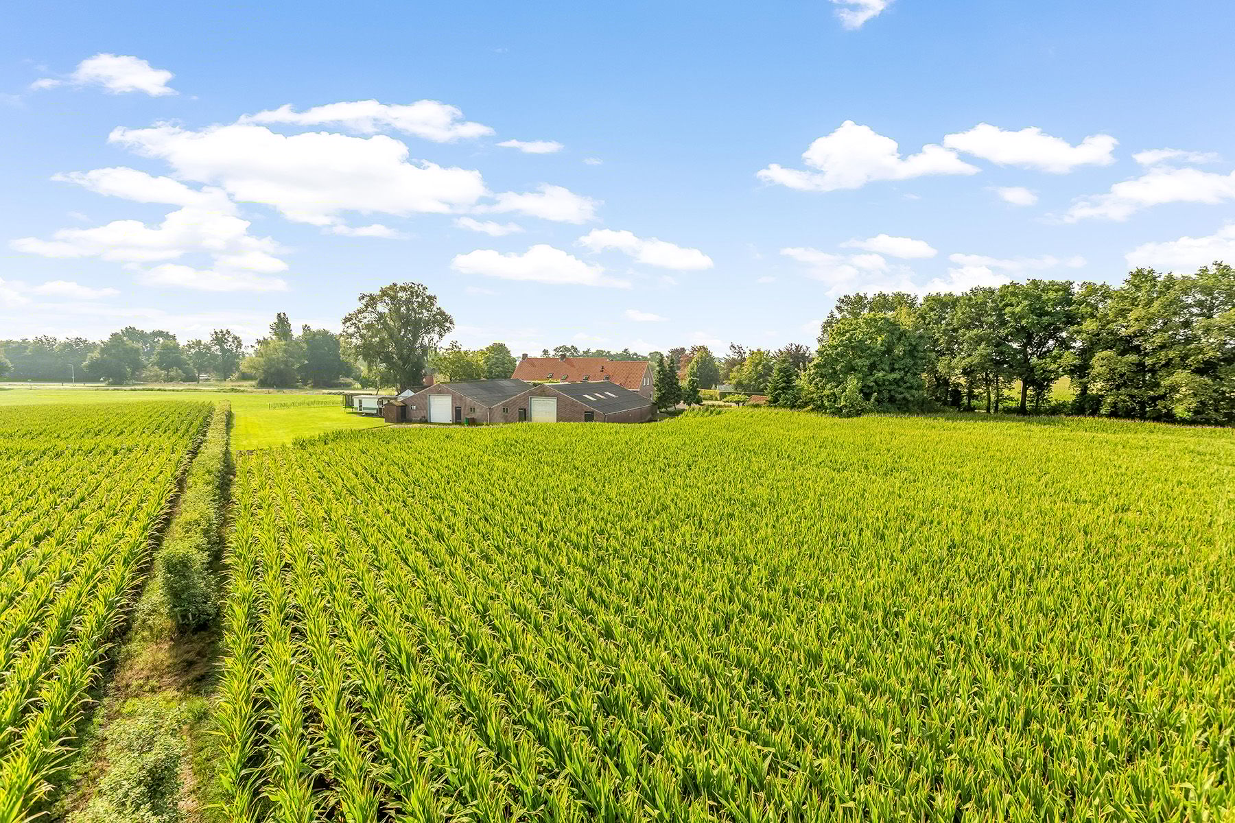 Foto 3 van Pannenhoefsebaan 28