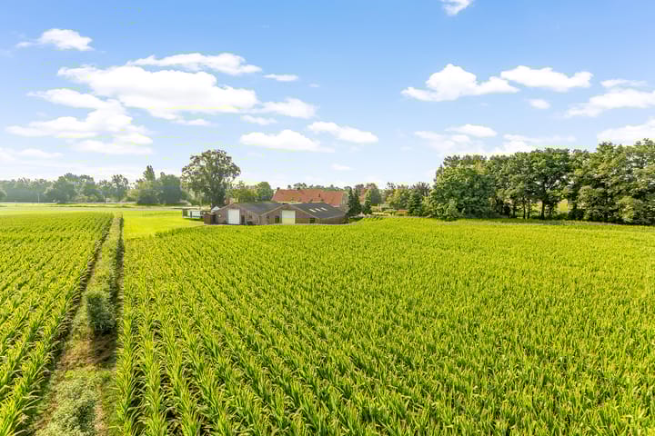 Foto 3 van Pannenhoefsebaan 28