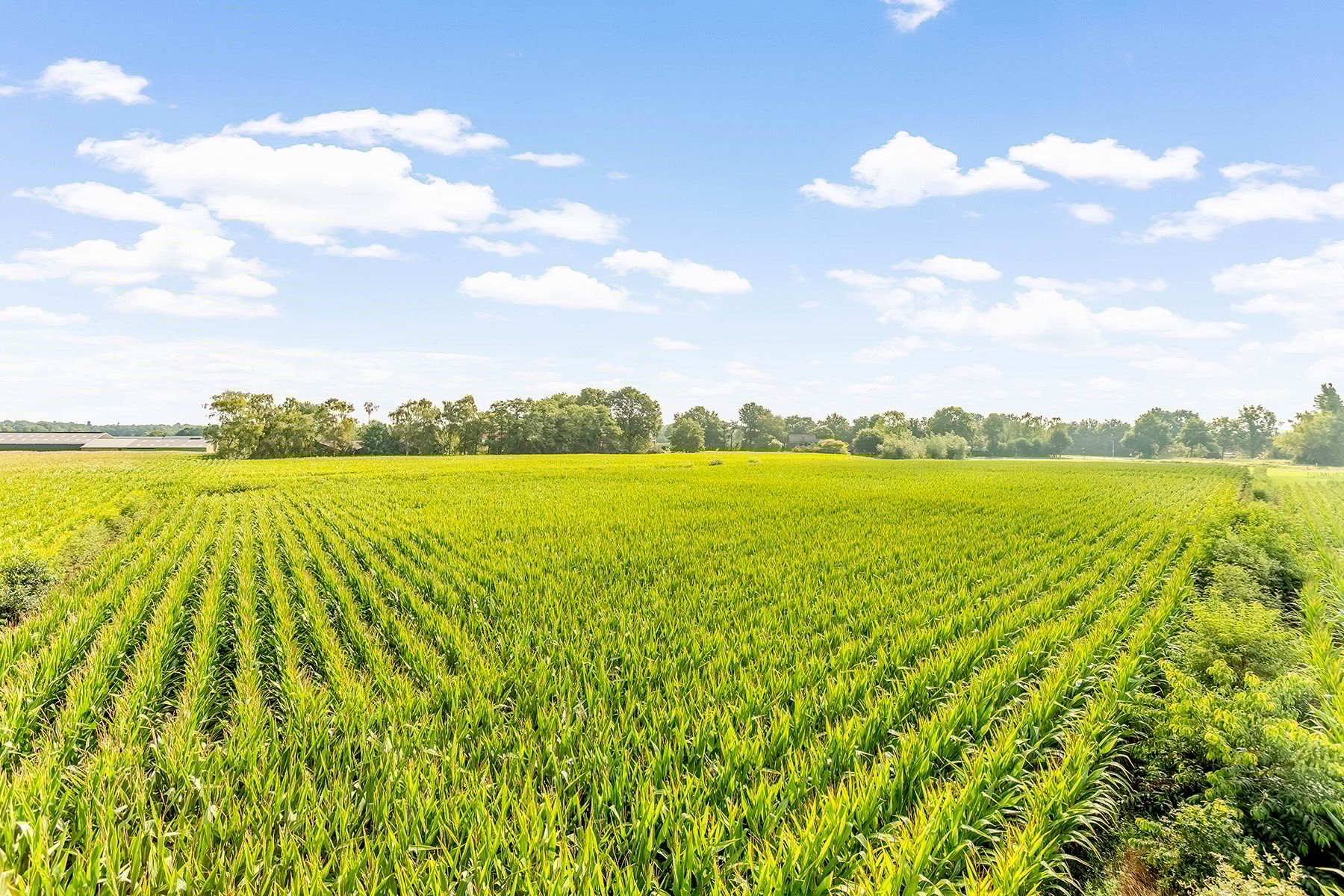 Foto 33 van Pannenhoefsebaan 28