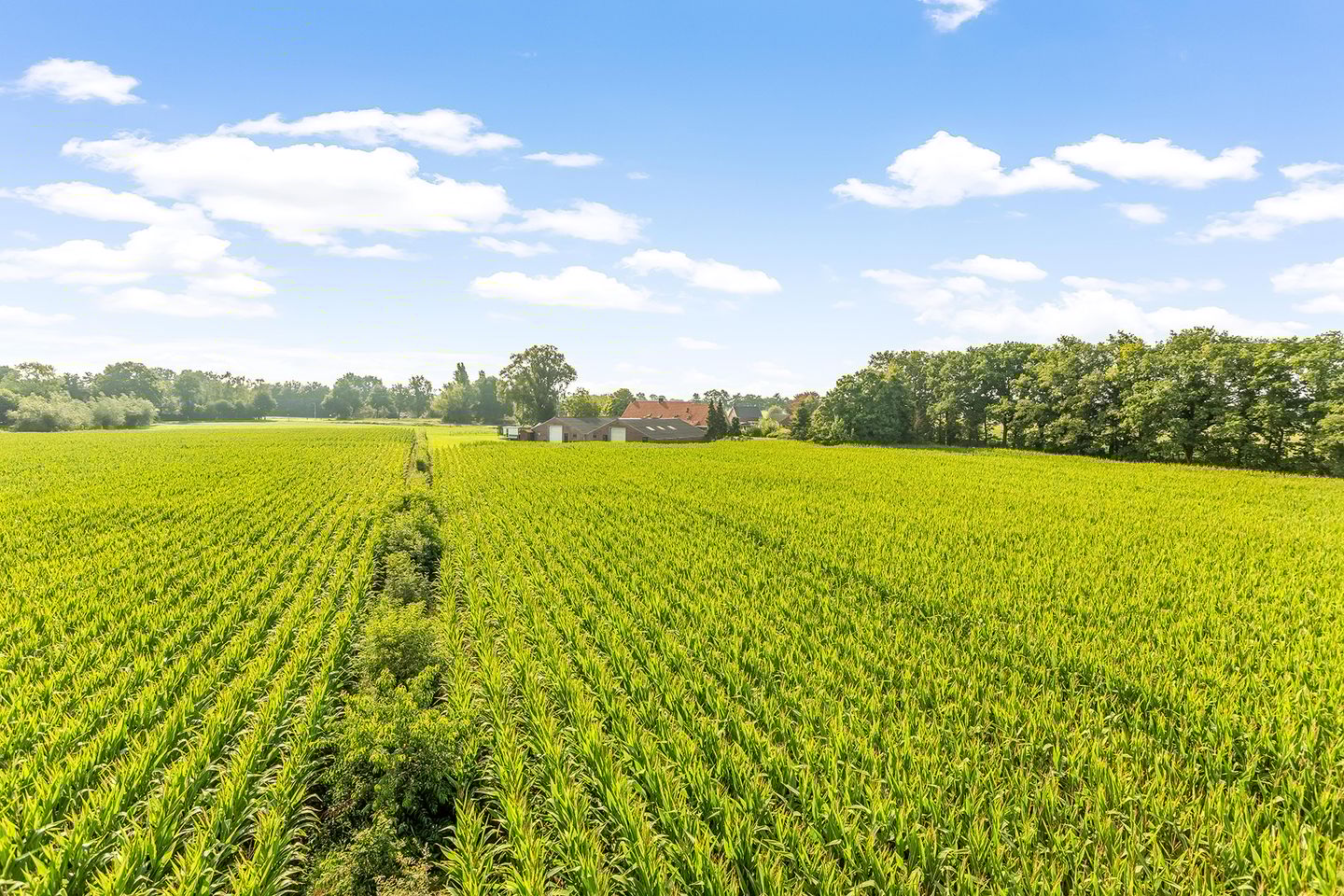 Foto 34 van Pannenhoefsebaan 28