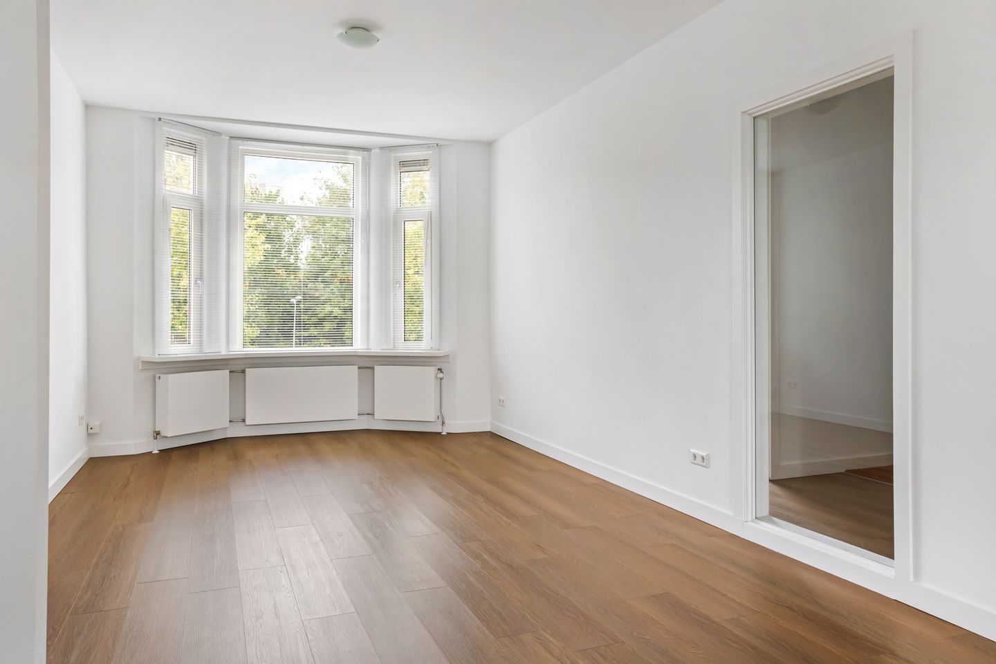 Foto 10 van van Alphenstraat 115