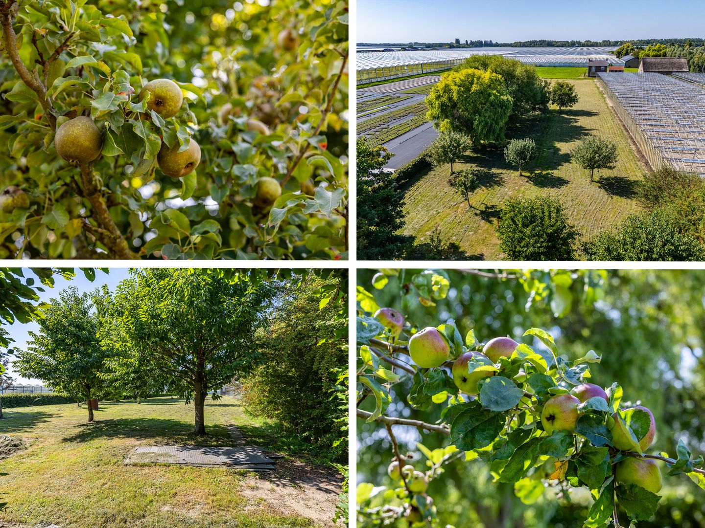 Foto 50 van Paasavond 2